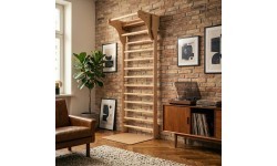 Wall Bars inSPORTline Shapemar 250 x 90 cm w/ Pull-Up Bar
